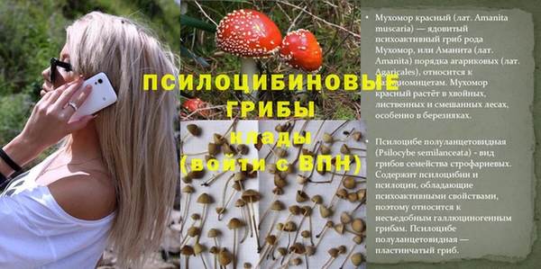 spice Нея