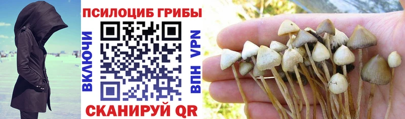 гидра маркетплейс  что такое   Холм  Галлюциногенные грибы Magic Shrooms 